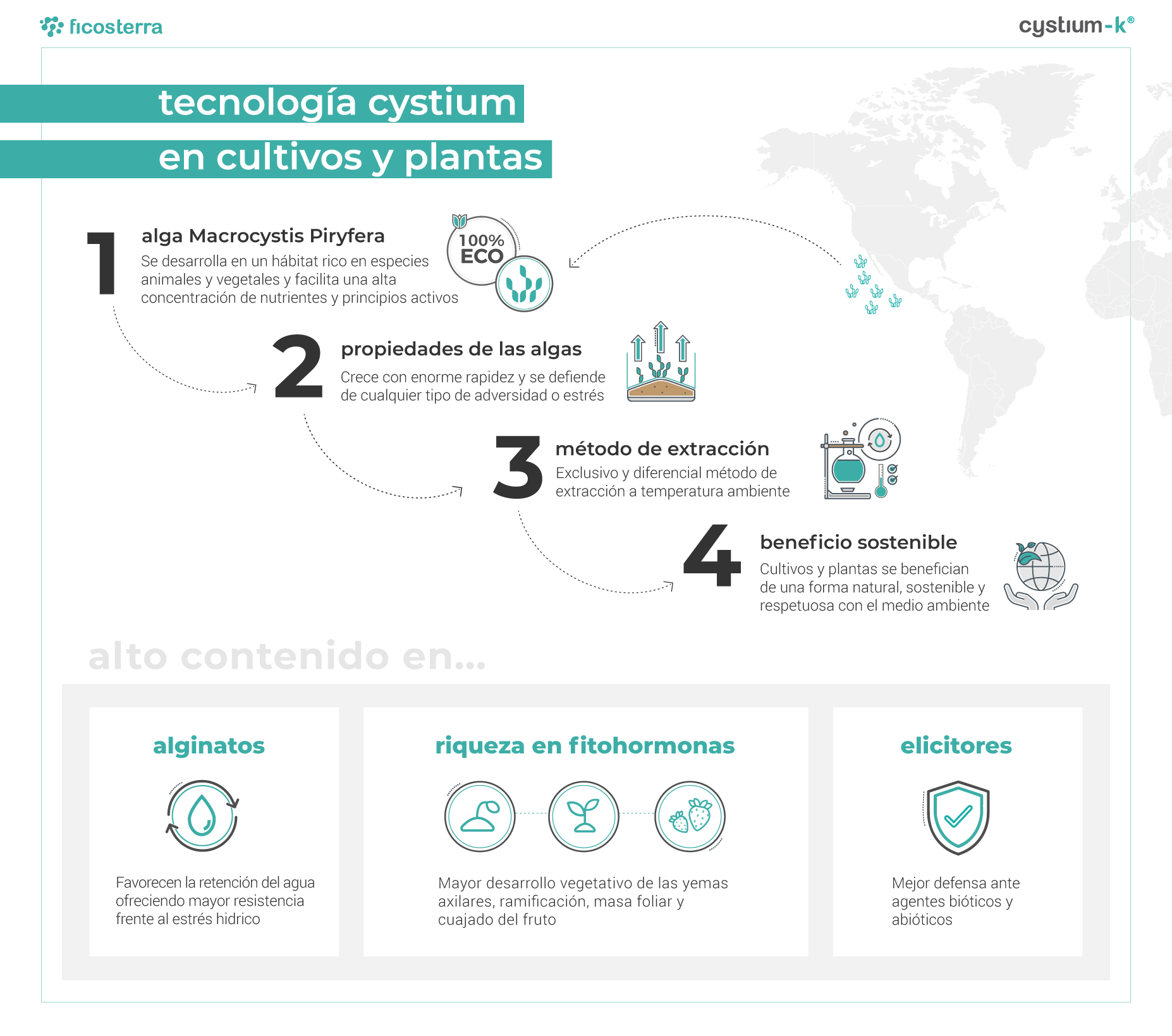 infografia tecnologia cystium